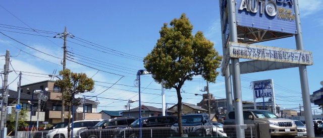 公式 都内最大級の中古車展示場 マスダオート足立店 東京 関東 アルファード クラウン マジェスタ ヴェルファイア